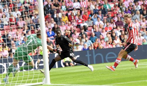 Premeire Bet: Best Choices for Home Remodeling